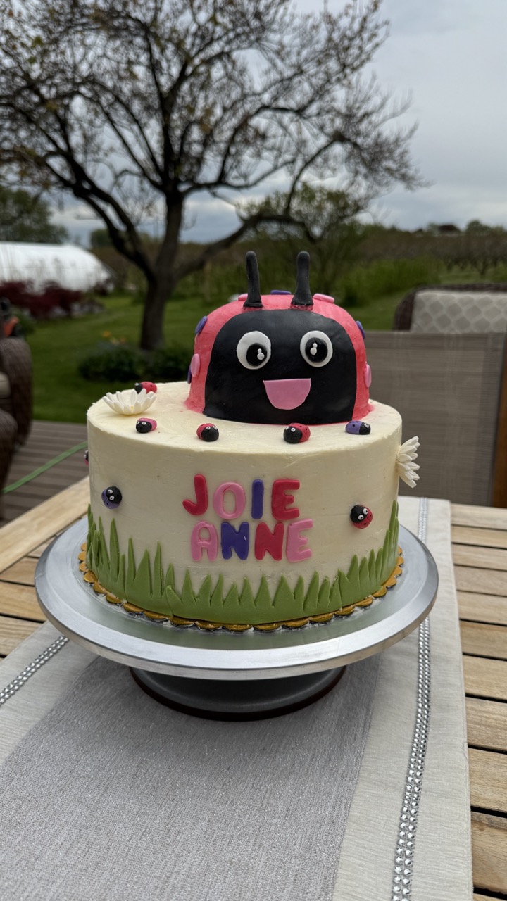 Kids Birthday Smash Cake - Lady Bug Themed